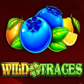 Wild Traces slot logo by Amusnet Interactive at Oscar Spin Casino