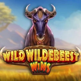 Play Wild Wildebeest Wins slot by Pragmatic Play on oscar-spin.eu.com